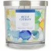 Sonoma Goods For Life® Blue Citron 14-oz. Candle Jar -Sonoma Goods For Life shop unnamed file 9896